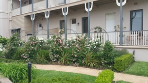 Sydney City Property Care Pic 2