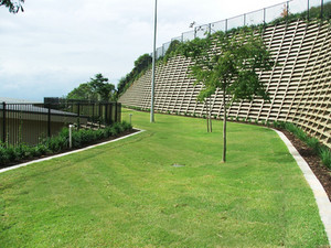 Australian Lawn Concepts Pic 3 - Empire Zoysia lawns in SouthEast QLD