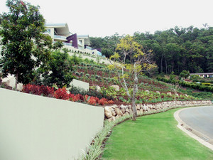 Australian Lawn Concepts Pic 5 - Lawn suppliers in SouthEast Queensland