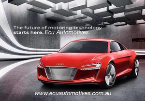 Ecu Automotives Pic 3