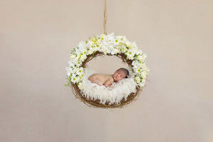 Veronica Molina Photography Pic 5 - Baby girls styled newborn photography session