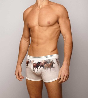 Stonemen Pic 2 - Boxer Brief Horse