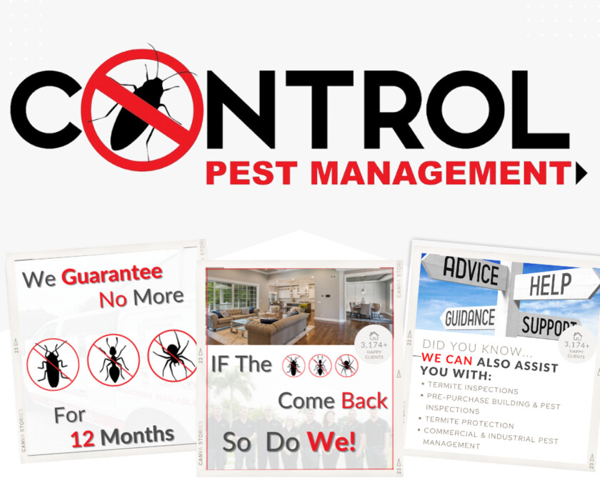 Control Pest Management Brisbane Pic 1 - Termite treatments brisbane