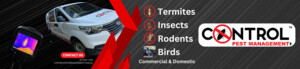 Control Pest Management Brisbane Pic 4