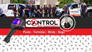 Control Pest Management Brisbane Pic 3