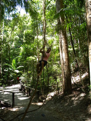 The Discovery Group Pic 4 - Jungle vines on Fraser Island