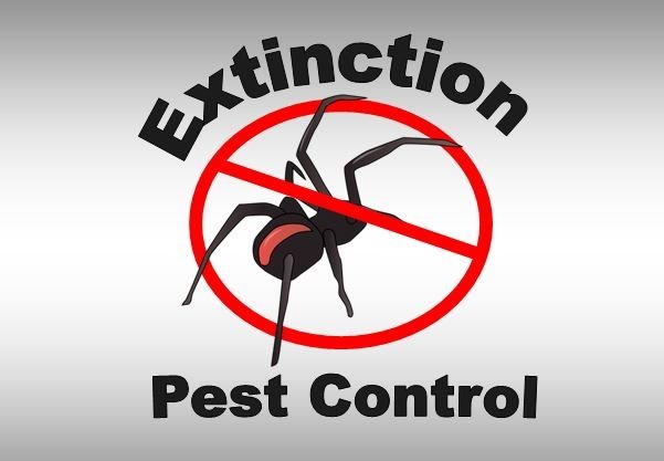 Extinction Pest Control Pic 1