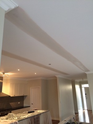 AQB PLASTERER Pic 3