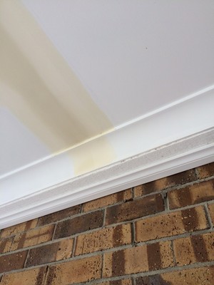 AQB PLASTERER Pic 5