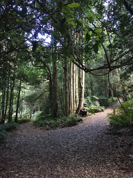 Blue Mountains Botanic Garden Mount Tomah Pic 1