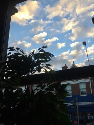 Brunswick St Cider House Pic 4 - The view at 730pm