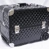 Microdermabrasion Machines and Facial Bed Pic 3 - Makeup Case