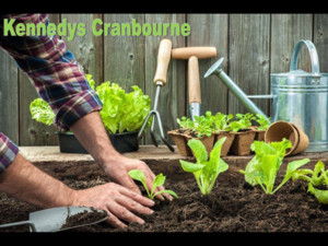 Kennedy's Cranbourne Garden Supplies Pic 5 - A variety of soil and compost