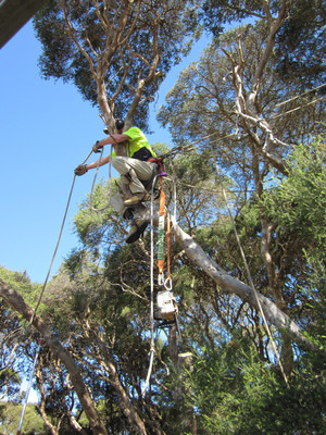 McCrae Horticultural Services Pic 3