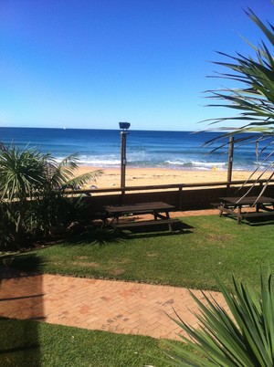 Bilgola Surf Lifesaving Club Inc Pic 2 - Garden of the surf club