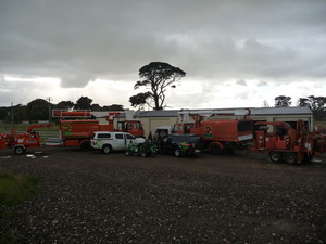 Forest & Garden Tree Services Pic 3 - Specialist equipment