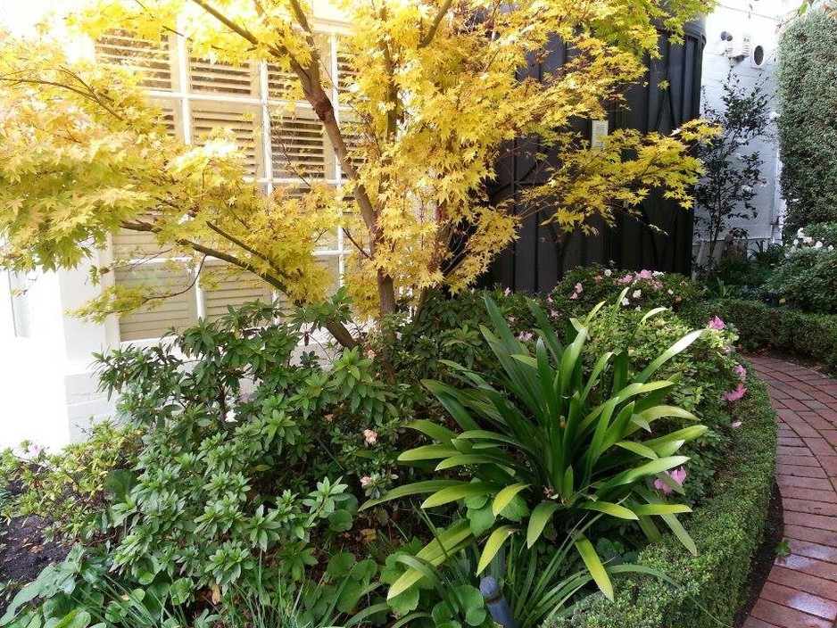 Ron Can Garden Pic 1 - The Adams Toorak