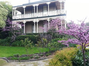 Ron Can Garden Pic 4 - The Orbachs Hawthorn