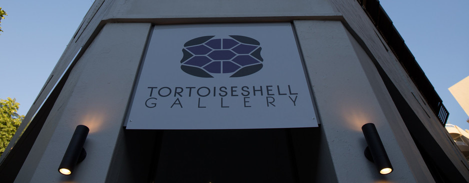 Tortoiseshell Gallery Pic 2