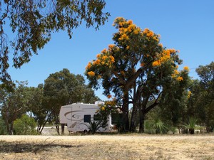 Back To Nature Caravan Park Pic 3