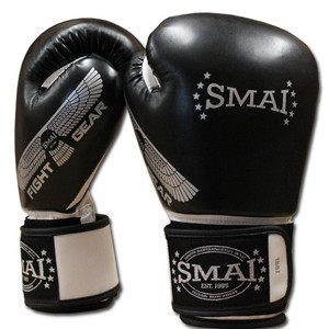 Bujutsu MMA Warehouse Pic 4 - Boxing Gloves