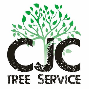 CJC Tree Service Pic 2