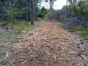 DG Posi-Track Mulching Pic 5 - Log windrow After