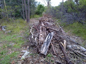 DG Posi-Track Mulching Pic 4 - Log windrow Before