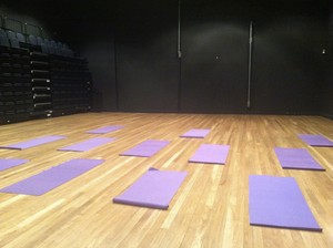 Macarthur Yoga Pic 2