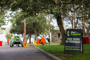 Get Lopped Tree Services Pic 5