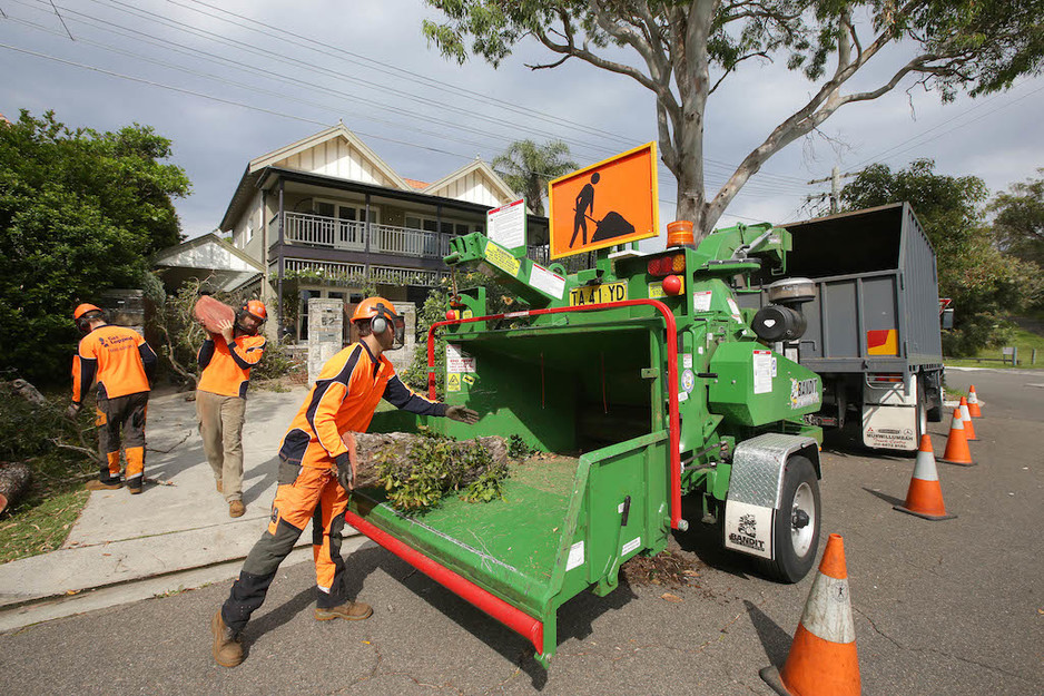 Get Lopped Tree Services Pic 1