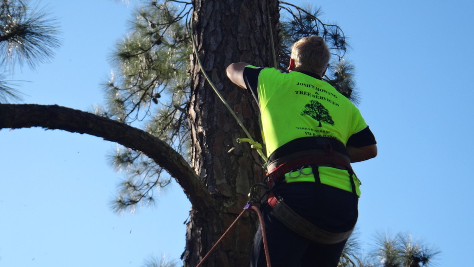 JOSHES MOWING AND TREE SERVICES Pic 1