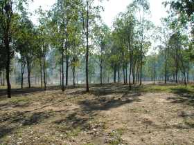 Barambah Bush Caravan Park Pic 1 - Barambah Bush Caravan Park