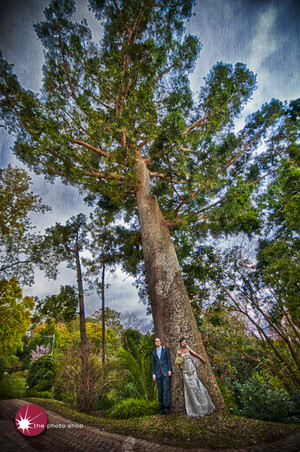 The Photo Shop: Wedding Photography Pic 2 - The Wedding of Sunshine Justin Loxley on Bellbird Hill Blue Mountains