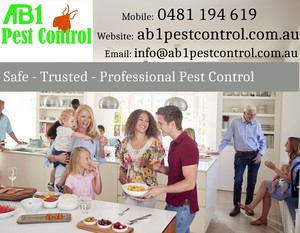 AB1 Pest Control Pic 5