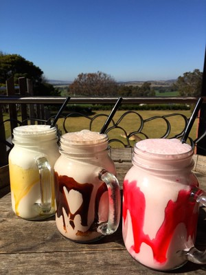 Vines Restaurant at Hollydene Estate Pic 5 - Our milkshakes bring all the kids to the yard