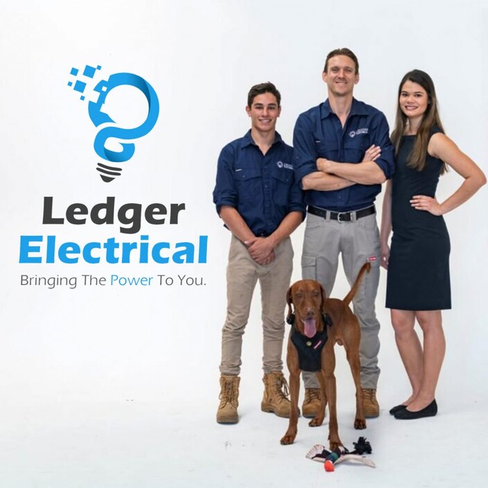 Ledger Electrical Pic 1