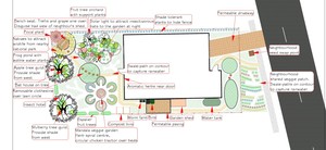 Full Cycle Permaculture Pic 4