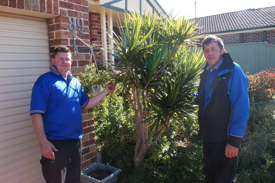 James' Lawn & Garden Care South Penrith - Jamisontown Pic 1