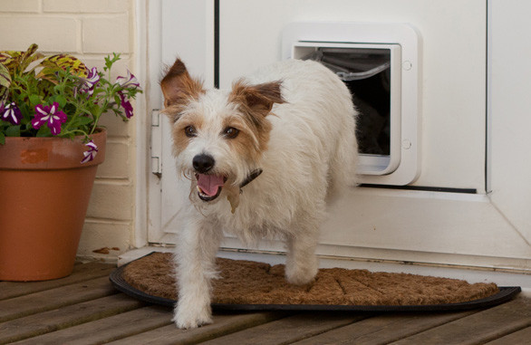 Pet Doors Melbourne Pic 1