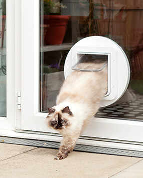 Pet Doors Melbourne Pic 4 - Cat Doors