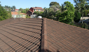 D & L Roofing Pic 3