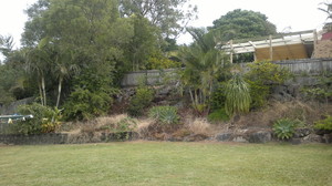 Grass Industries Pic 5 - Before Garden Clean Mulch