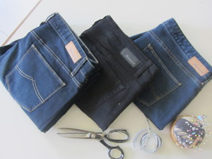 Anna Cyranowicz Pic 4 - Shortening Jeans 12 a pair