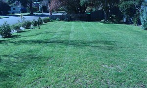 Big Star Lawn Mowing Pic 5 - Lawn mowing service Seaford