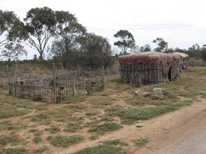 Werribee Open Range Zoo Pic 3