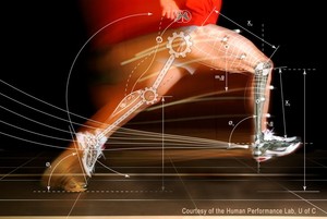 Circular Quay Physio and Pilates Pic 4 - video gait analysis to analyse your running style