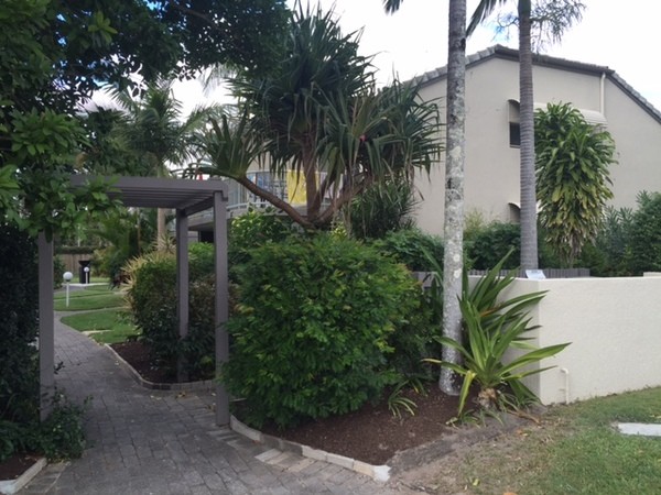 Professionals Noosa Pic 1 - For Rent Lake Weyba Drive