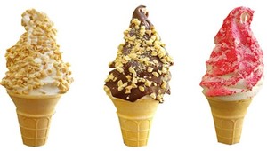 Mr Whippy Pic 3