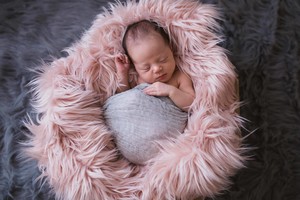 Dart Newborn Photography Pic 3